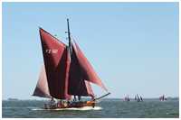 49. Zeesbootregatta Bodstedt 7. September 2013