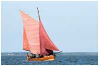 49. Zeesbootregatta Bodstedt 7. September 2013