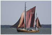 Zeesboot Marie-Luise (FZ 52)