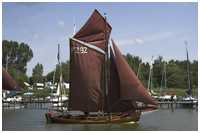 Zeesboot Traudi (FZ 92)