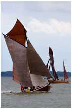 Zeesboot Gertrud (FZ 25)