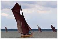 Zeesboot Hanna (FZ 70)