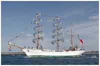 Bark Cuauhtémoc
