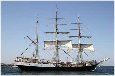 Bark Gunilla