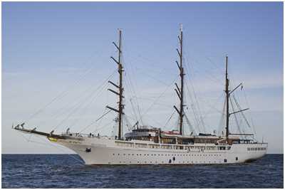 Bark Sea Cloud II