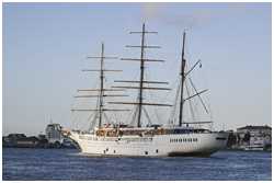 Bark Sea Cloud II