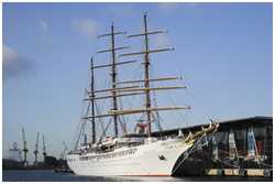 Bark Sea Cloud II