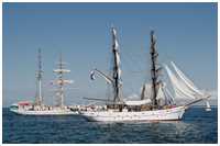 Hanse Sail 2014