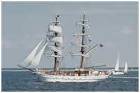 Hanse Sail 2015