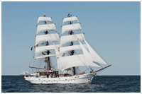 Hanse Sail 2015