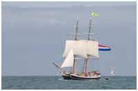 Brigg Morgenster