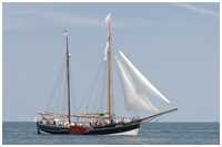 See-Ewer Amazone