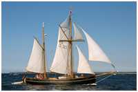 Galeasse Fulvia
