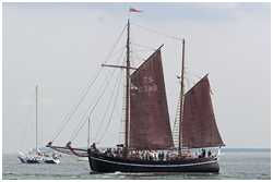 Hanse Sail 2006