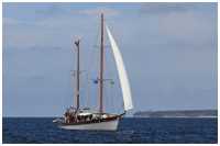 Hanse Sail 2017