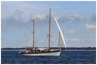 Hanse Sail 2017
