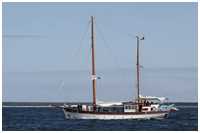 Hanse Sail 2017