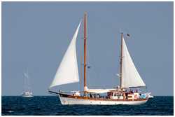 Hanse Sail 2018