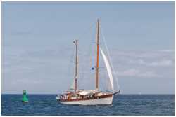 Hanse Sail 2019