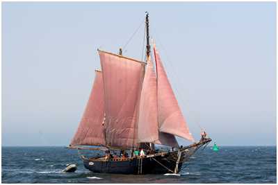 Yachtgaleasse Ninive