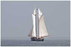 Galeasse Pegasus