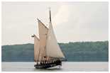 Rumregatta 2012