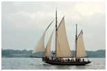 Rumregatta 2012