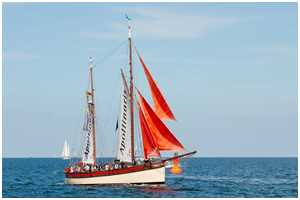 Hanse Sail 2013