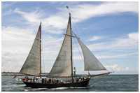 Hanse Sail 2006