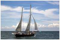 Hanse Sail 2006