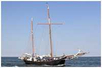 Hanse Sail 2006