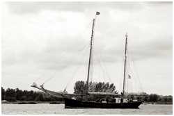 Hanse Sail 2017