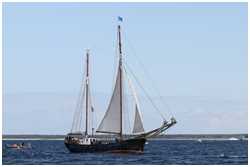 Hanse Sail 2017