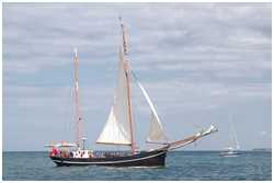 Hanse Sail 2019