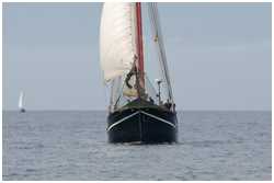 Hanse Sail 2019