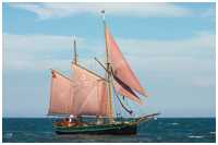 Hanse Sail 2009