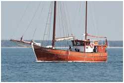 Hanse Sail 2015