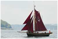 Rumregatta 2012