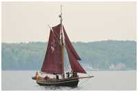 Rumregatta 2012