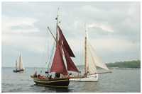 Rumregatta 2012
