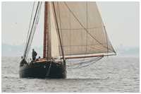 Rumregatta 2012