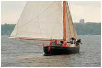 Rumregatta 2012