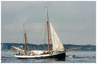 Heringslogger Tecla