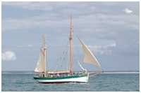 Hanse Sail 2019