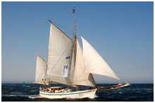 Hanse Sail 2007