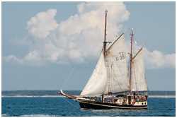 Hanse Sail 2014
