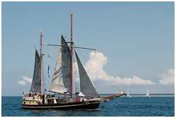 Hanse Sail 2014
