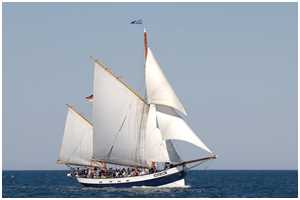 Heringslogger Belle Amie
