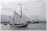 Heringslogger Belle Amie