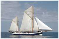 Heringslogger Belle Amie